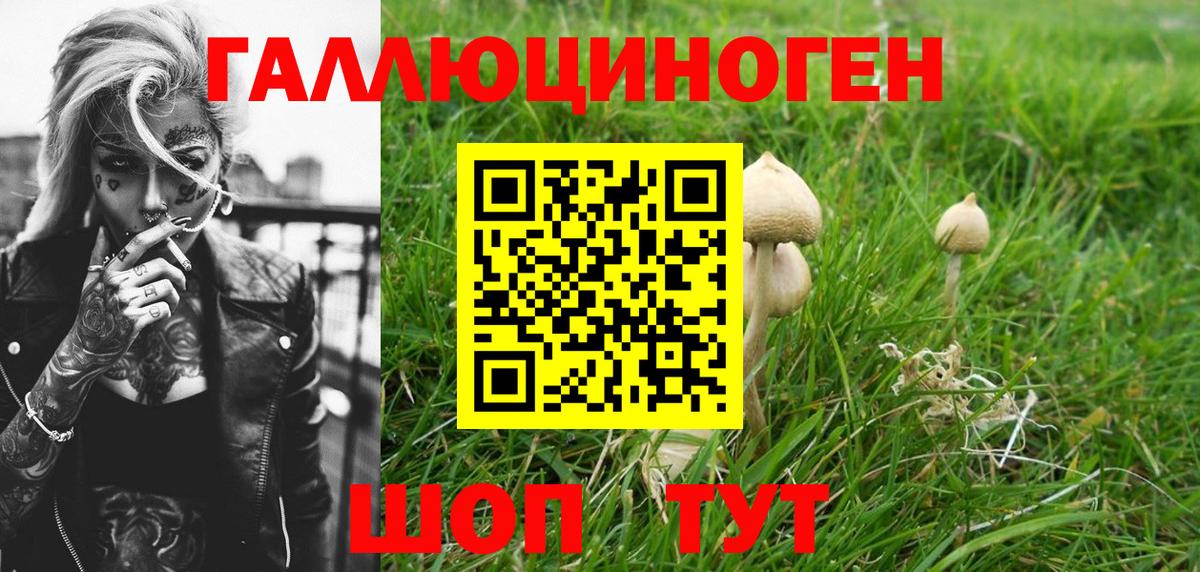 Тамбов  Псилоцибиновые грибы мухоморы  Псилоцибиновые грибы мухоморы  Вход с VPN 